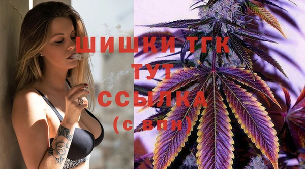 стафф Корсаков