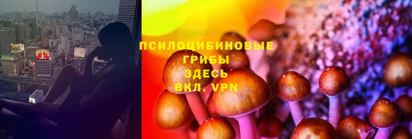 PSILOCYBIN Костерёво