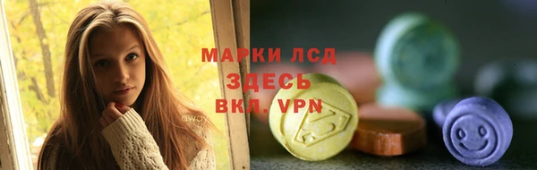 ГАЛЛЮЦИНОГЕННЫЕ ГРИБЫ Козловка