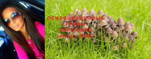стафф Корсаков
