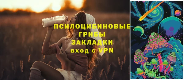 стафф Корсаков