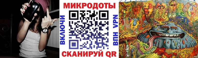Галлюциногенные грибы Psilocybe  Купить закладки  Звенигово 